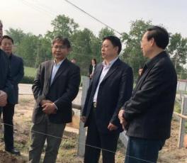 河南省省长陈润儿在生命果有机树莓基地考察指导